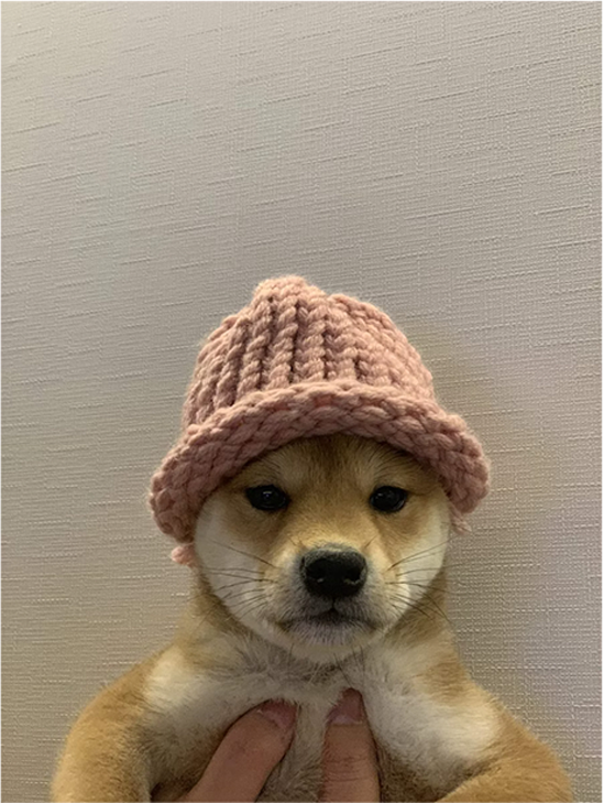 핑크 니트 모자를 쓴 아치